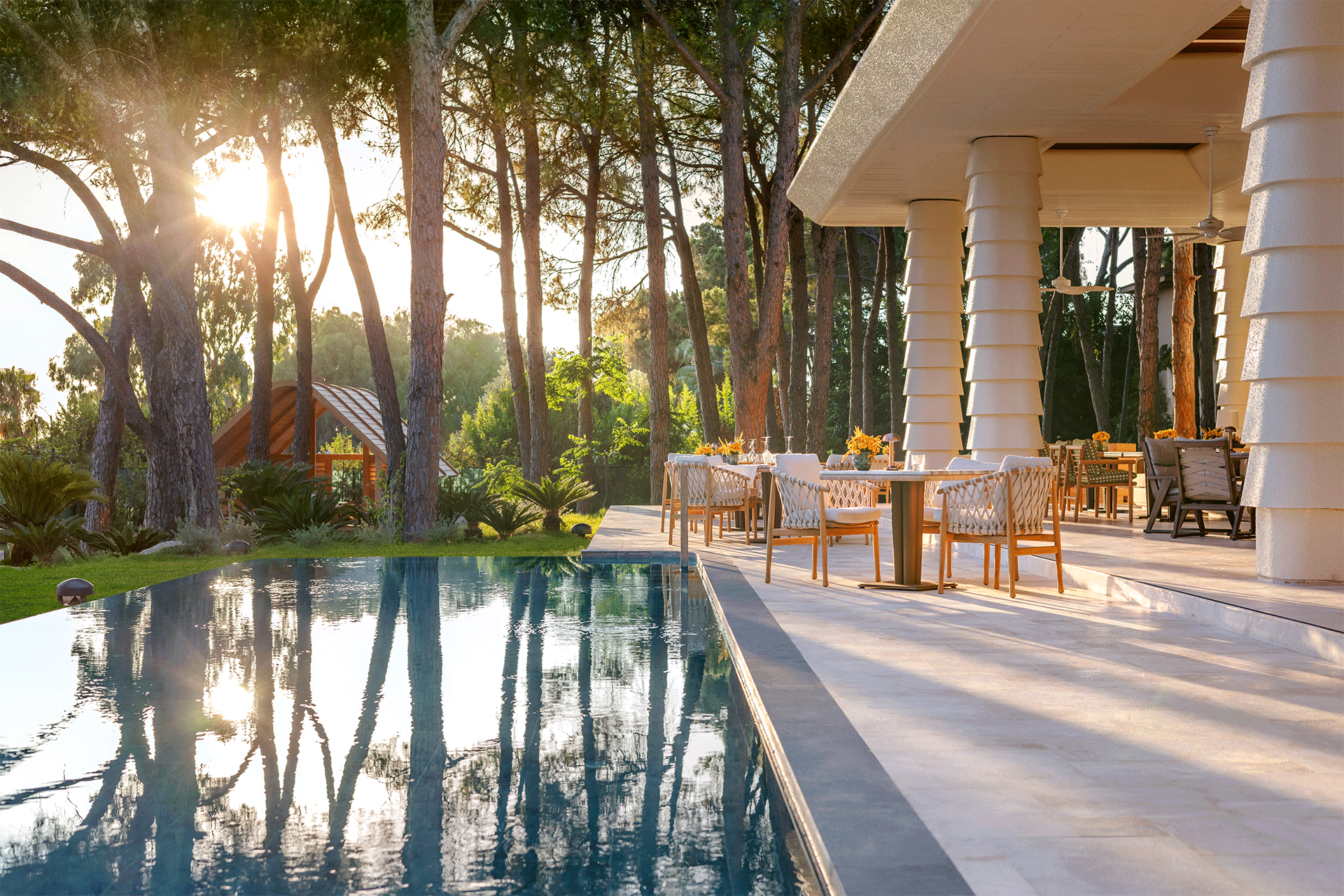 A large swimming pool in the middle of a forest